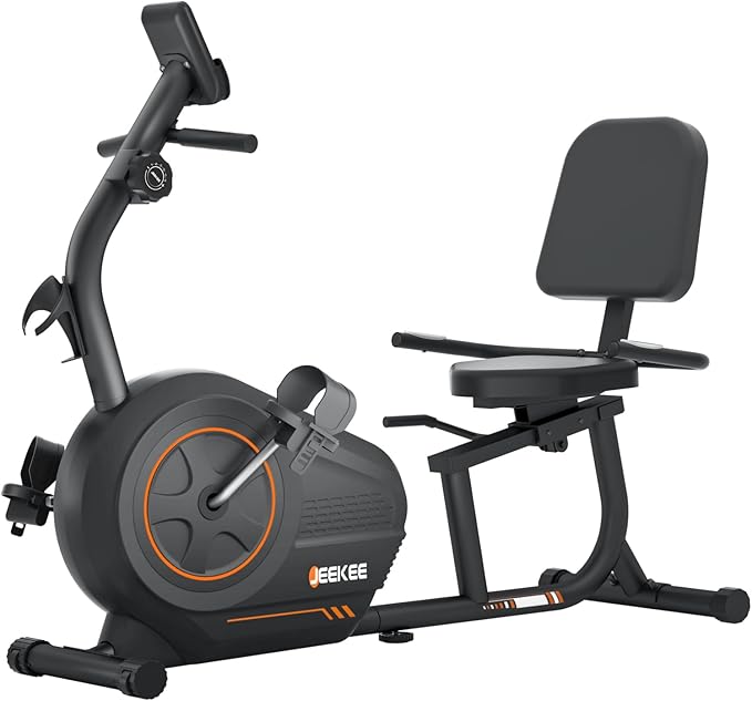 JEEKEE Recumbent Exercise Bike for Seniors,Stationary Bikes for Home, 300LB Capacity & 16 Levels Magnetic Resistance, Heart Rate Handle