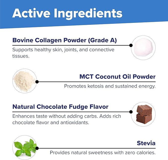 Superior Source Keto Collagen - Collagen Protein Powder with MCT Oil - Supports Hair, Skin, Nails & Joint Health - Dairy-Free - Chocolate, 14 oz