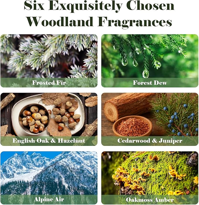 AmaKane Woodland Fragrance Oil, Forest Diffuser Oil Scents, Candle Scents for Candle Making, Soap Making Scents, Frosted Fir, Cedarwood&Juniper, Oakmoss Amber and More Essential Oils 6x10ml