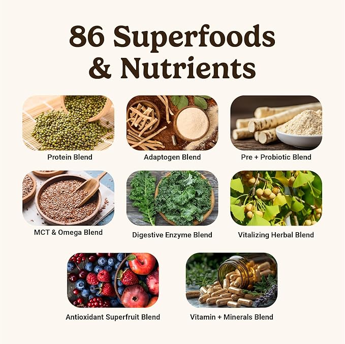 VitaHustle ONE Max Protein + 5g Creatine, 30g Plant Protein Powder, All-in-One Meal Replacement Shake with Greens, Adaptogens, Ashwagandha, Probiotics & Vitamins – Double Chocolate, 15 Servings