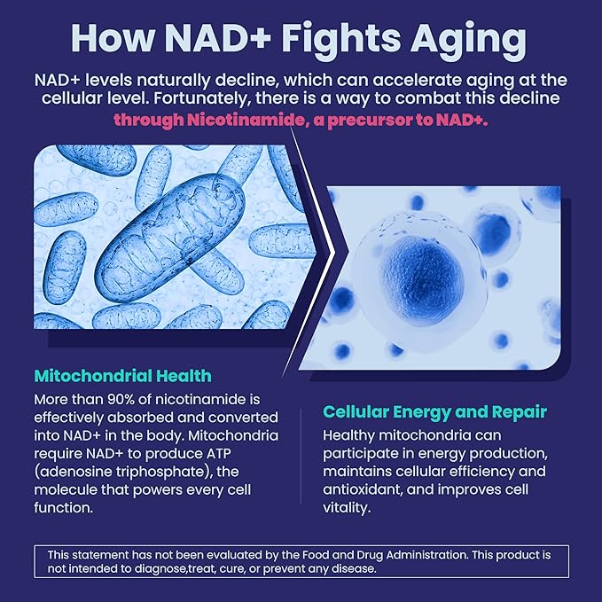 Nicotinamide 500mg Gummies, Niacinamide Supplement with Collagen Peptides, (Flush Free Niacin) Vitamin B3 Niacinamide for Anti-Aging, NAD+ Levels, Longevity, Focus & Brain, Sugar Free, 60Cts