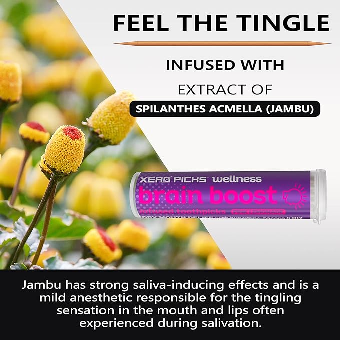 Xero Picks Wellness - Infused Flavored Toothpicks - Dry Mouth Prevention - 60 Picks - 3 Pack - Pink Lemonade - Brain Boost - Huperzine, Bacopa, B12