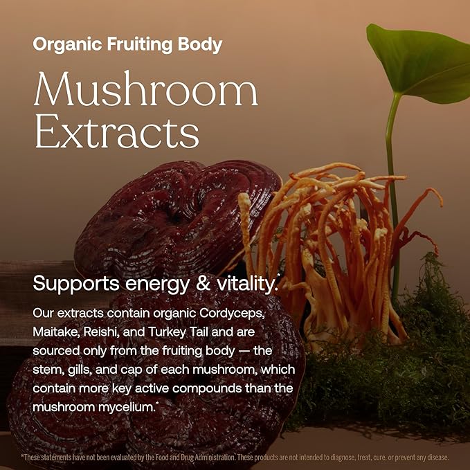 True Grace One Daily Women’s Multivitamin Fermented Minerals, Organic Adaptogens & Mushrooms Whole Body Balance, Immune, Energy, Beauty Support - Non-GMO, Gluten Free, Soy Free - 30 Vegan Tablets