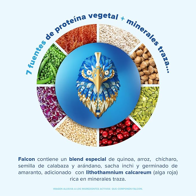 BIRDMAN Falcon Vegan Protein Powder Organic, Stevia & Sugar Free, Plant Based Protein, Low Carb, Dairy Free, Keto, Non Whey Protein, Probiotic | Vanilla Flavor - 60 Servings - 3.9 lb