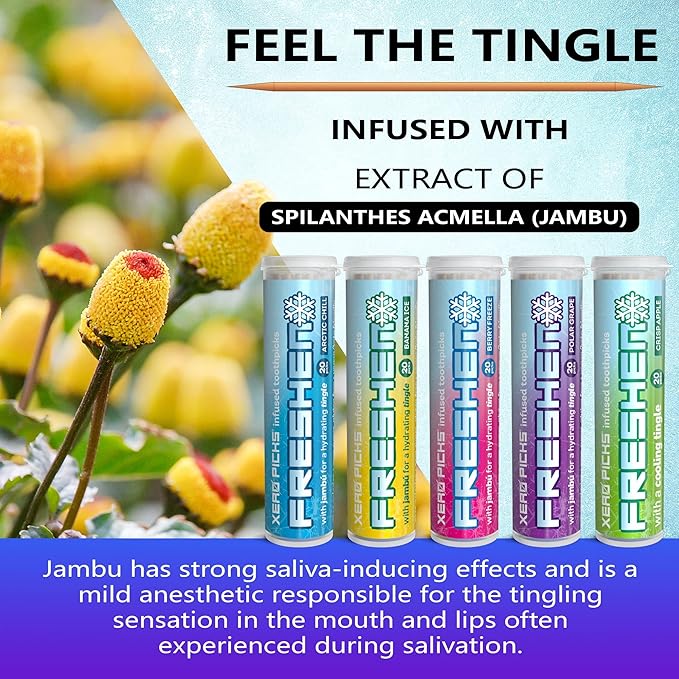 Xero Picks Freshen - Infused Flavored Toothpicks - Cooling Fresh Breath - 100 Picks - 5 Pack - Variety- polar grape, arctic chill, banana ice, berry freeze and crisp apple