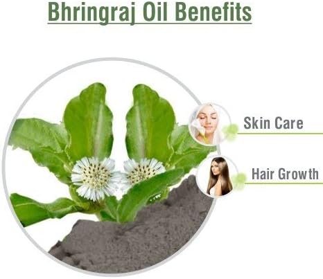 ﻿Salvia Bhringraj Oil (Eclipta alba) 100% Pure & Natural - Undiluted Uncut Cold Pressed Premium Oil Use for Aromatherapy, Skin Care & Hair - Therapeutic Grade (250 ML (8.45351))
