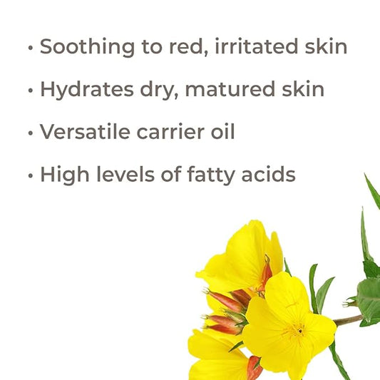Plant Therapy Evening Primrose Carrier Oil 1 Gallon Base Oil for Aromatherapy, Essential Oil or Massage Use