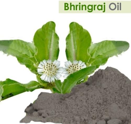 Bhringraj Oil (Eclipta alba) 100% Pure & Natural - Undiluted Uncut Cold Pressed Premium Oil Use for Aromatherapy, Skin Care & Hair - Therapeutic Grade - 30 ML by Salvia