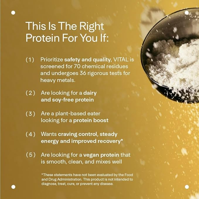 LTH Vital Vegan Protein - Trusted by Life Time Members - Plant-Based Protein Powder Made from Pea Protein - Supports a Healthy Immune System - Dairy Free & Soy Free - Vanilla, 30 Servings