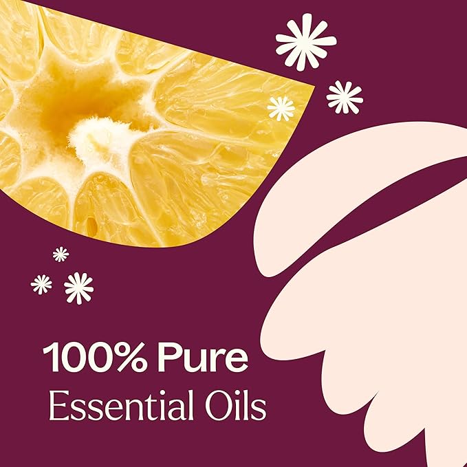 Plant Therapy Sugar Plum Fairy Holiday Essential Oil Blend 10 mL (1/3 oz) Citrus-Sweet & Floral Scent, Cheerful & Inviting, Helps Set The Mood for Relaxation
