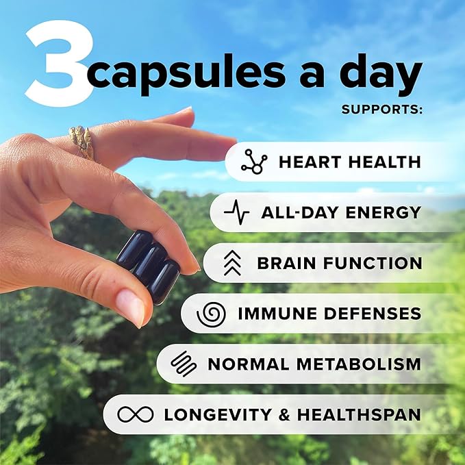 Complement Essential Vegan Multivitamin for Men & Women (60 Servings, 180 Capsules) with Omega-3 DHA & EPA, B12, Vitamin D3 & K2, Zinc, Selenium, Magnesium, Iodine - Supports Immunity & Overall Health