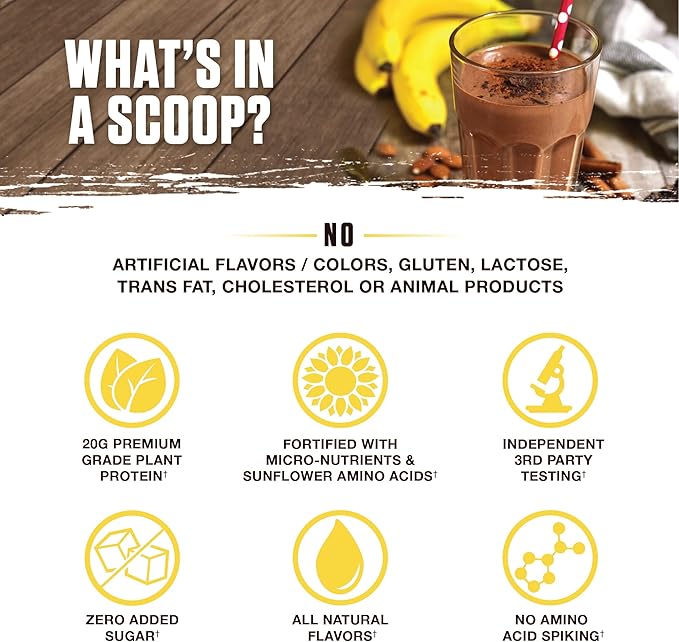 Ambrosia Planta - Premium Plant-Based Protein | Vegan & Keto Friendly | Gourmet Flavors with No Bloating or Stomach Upset | No Added Sugar | 14 Servings | (Banana Maple)
