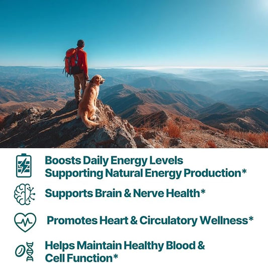 Plus B 11-in-1 Beadlet Capsule – Complete B-Complex with B1, B2, B3, B5, B6, B7, B9, B12 – Timed Release for Energy, Vitality, Brain, Heart, Immune, Mood, & Overall Wellness