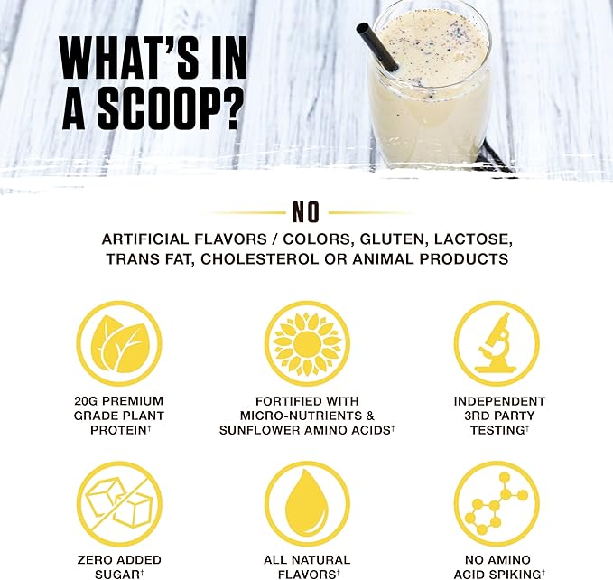 Ambrosia Planta - Premium Plant-Based Protein | Vegan & Keto Friendly | Gourmet Flavors with No Bloating or Stomach Upset | Gluten & Soy Free | No Added Sugar | 14 Servings | (Vanilla)