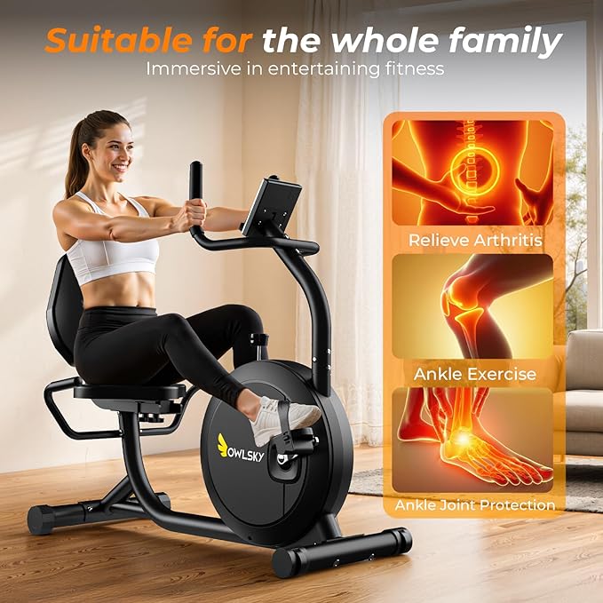 OWLSKY Recumbent Exercise Bike for Home Gym, Magnetic Stationary Bike with 16-Level Resistance, Quiet 15LBS Flywheel, 400LBS Capacity, Low-Impact Cardio & Physical Therapy
