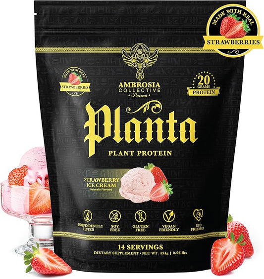 Ambrosia Planta - Premium Plant-Based Protein | Vegan & Keto Friendly | Gourmet Flavors with No Bloating or Stomach Upset | No Added Sugar | 14 Servings | (Strawberry Ice Cream)