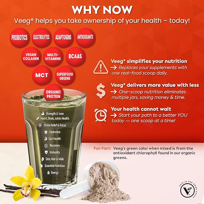 Veeg All-in-One Protein Smoothie Powder - Plant Based Protein Powder, Vegan Collagen, Superfoods, Organic Greens, MCT Powder, Probiotics, Multivitamin, Sugar-Free, 15 Servings (Vanilla)