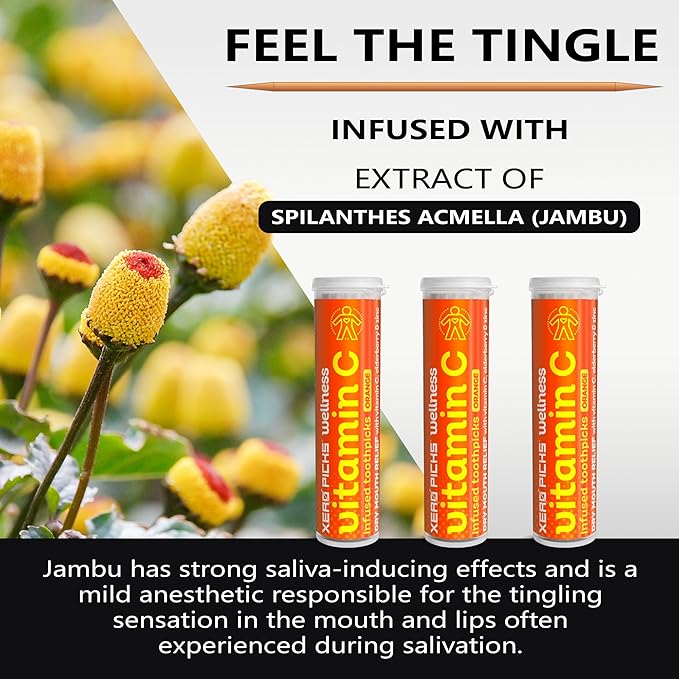 Xero Picks Wellness - Infused Flavored Toothpicks - Dry Mouth Prevention - 60 Picks - 3 Pack - Orange - Immunity Support - Vitamin C, Elderberry, Zinc