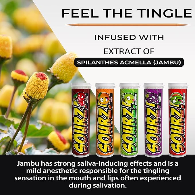 Xero Picks - Sourz Infused Flavored Toothpicks- Sugar Free- Sour Apple, Sour Grape, Sour Cherry, Sour Watermelon, Sour Peach - 5 Pack - 20 Picks per