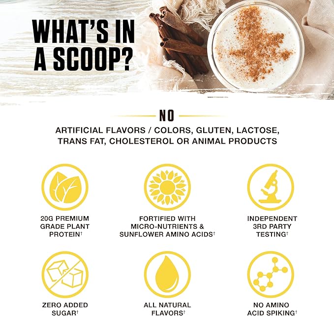 Ambrosia Planta - Premium Plant-Based Protein | Vegan & Keto Friendly | Gourmet Flavors with No Bloating or Stomach Upset | Gluten & Soy Free | No Added Sugar | 14 Servings | (Cinnamon Roll)