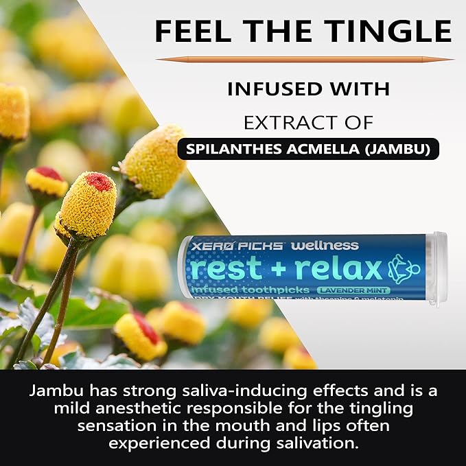 Xero Picks Wellness - Infused Flavored Toothpicks for Long Lasting Fresh Breath & Dry Mouth Prevention - 60 Picks - 3 Pack - Lavender Mint - Rest + Relax