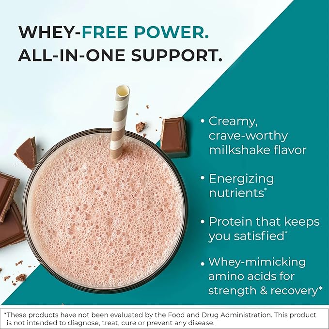 Reignite Wellness by JJ Virgin | Chocolate Paleo-Inspired All-in-One Shake | Gluten Free + Dairy Free Protein Powder | Contains 20G of Beef Protein with Vitamins, Minerals, Amino Acids | 30 Servings