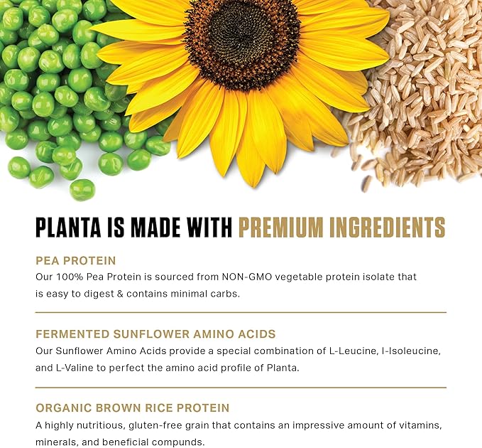 Ambrosia Planta - Premium Plant-Based Protein | Vegan & Keto Friendly | Gourmet Flavors with No Bloating or Stomach Upset | Gluten & Soy Free | No Added Sugar | 25 Servings | Cookies Cream