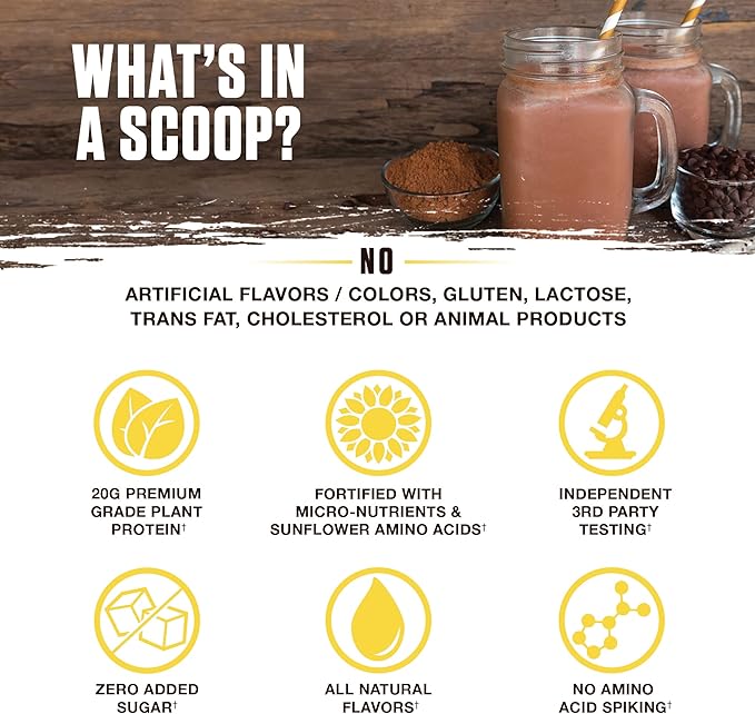 Ambrosia Planta - Premium Plant-Based Protein | Vegan & Keto Friendly | Gourmet Flavors with No Bloating or Stomach Upset | No Added Sugar | 14 Servings | (Melted Chocolate)