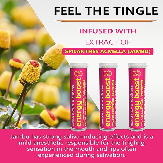 Xero Picks Wellness - Infused Flavored Toothpicks for Long Lasting Fresh Breath & Dry Mouth Prevention - 60 Picks - 3 Pack - Berry Blast - Caffeine Energy Boost