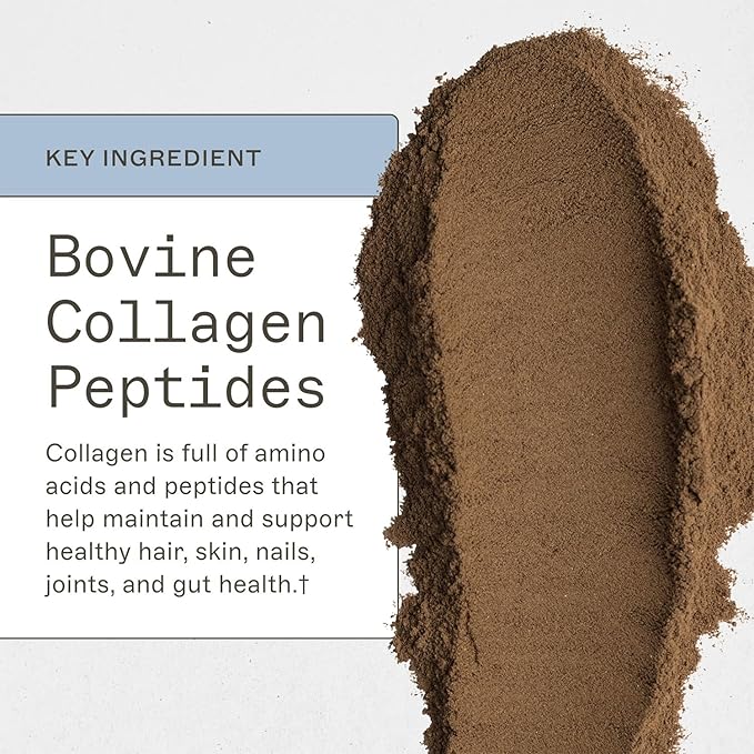 Amy Myers MD Paleo Protein Powder - Double Chocolate, 20 Servings - Collagen-Based Gut Function Support - Gluten-Free & Non-Dairy Protein Supplement