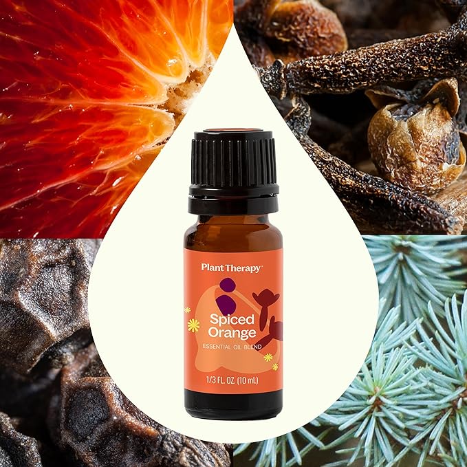 Plant Therapy Spiced Orange Holiday Essential Oil Blend 10 mL (1/3 oz) Bright Citrus Blended with Warming Spices, Inviting & Cheerful Aroma, Creates a Cozy Holiday Atmosphere