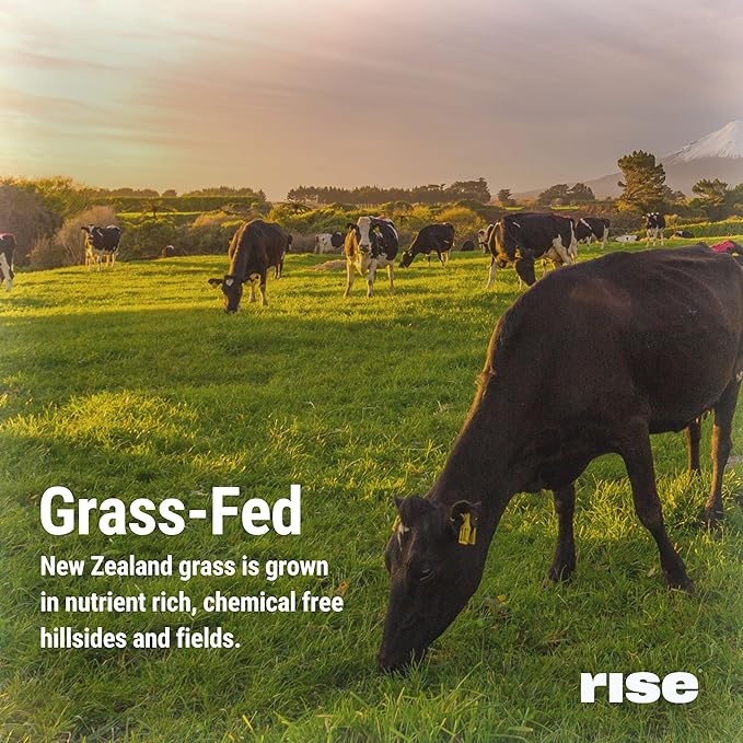 Rise Grass-Fed Whey Protein Powder - Vanilla | 25g Protein No Artificial Flavors, Colors, or Preservatives - Sugar Free, Gluten-Free, Soy Free (Single Serving, 1 Pack)