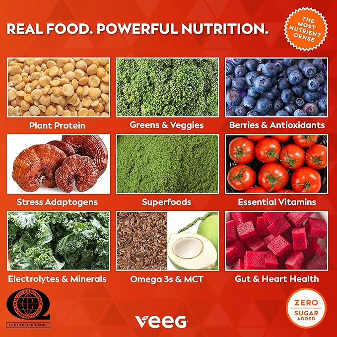 Veeg All-in-One Protein Smoothie Powder - Plant Based Protein Powder, Vegan Collagen, Superfoods, Organic Greens, MCT Powder, Probiotics, Multivitamin, Sugar-Free, 15 Servings (Vanilla)