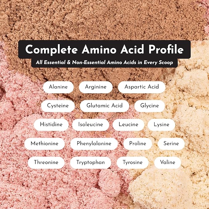 Chocolate Protein Powder – 30-Serving Blend with 100% Grass-Fed Whey & Organic Plant Proteins – Rich Cocoa Flavor – Supports Muscle Recovery, Energy & Satiety* – No Artificial Sweeteners or Fillers